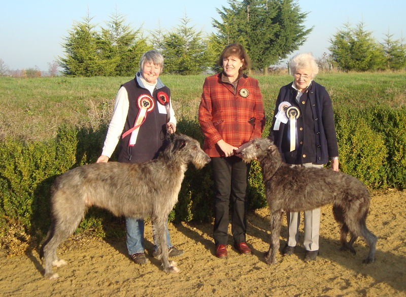 BOB & RBOB Hound Club of East Anglia